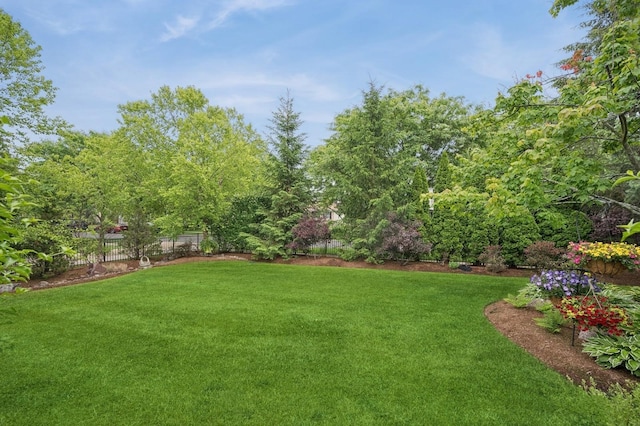 1613 Constitution Dr, Glenview, IL 60026 - view of yard