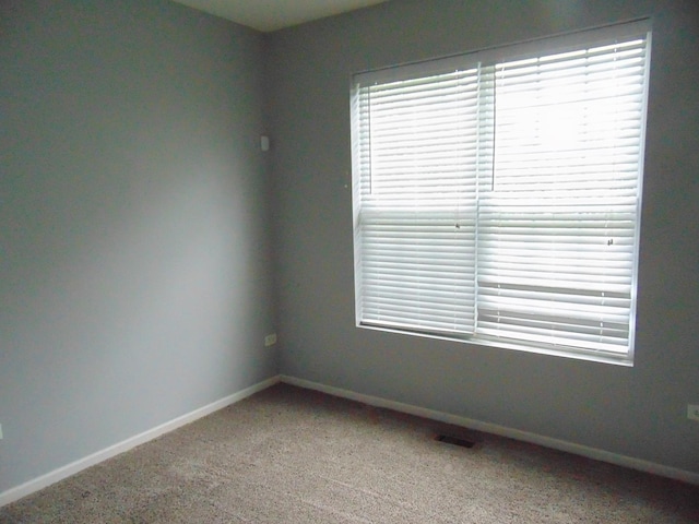 317 Grape Vine Trl Unit 5, Oswego, IL 60543 - photo 4