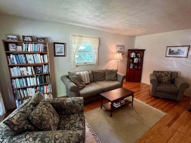 14 N Walnut St, Pesotum, IL 61863 - living room with wood finished floors and baseboards