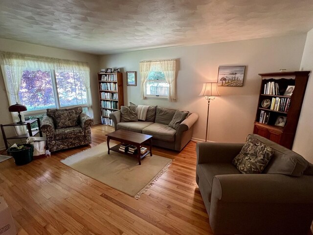 14 N Walnut St, Pesotum, IL 61863 - photo 13
