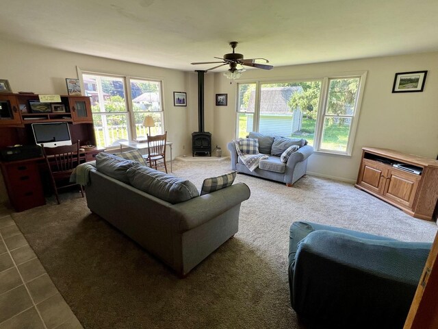 14 N Walnut St, Pesotum, IL 61863 - photo 14