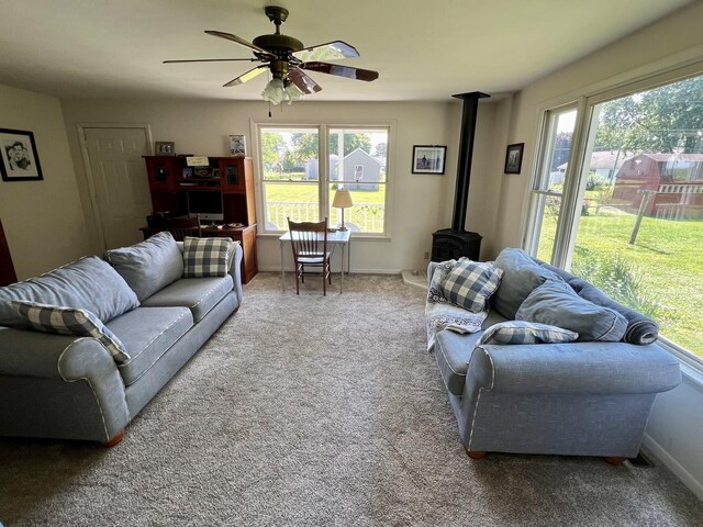 14 N Walnut St, Pesotum, IL 61863 - photo 15