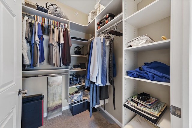 935 Burlington Ave Unit 411, Downers Grove, IL 60515 - spacious closet featuring carpet floors