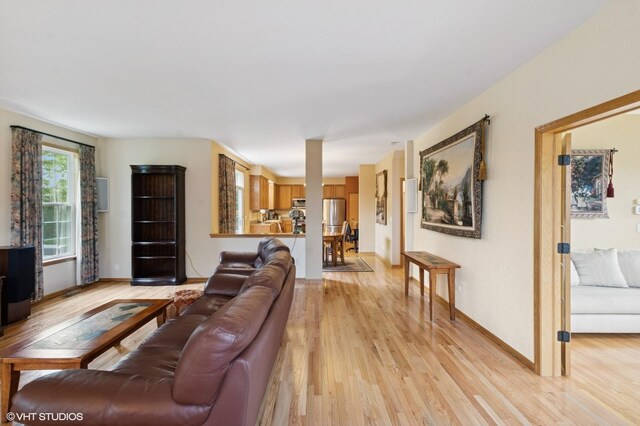 5 N Chestnut Ct, Hawthorn Woods, IL 60047 - living room with light wood-style floors and baseboards
