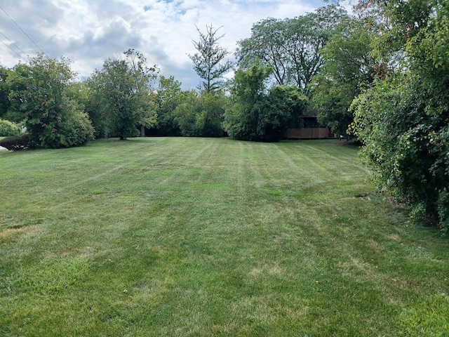 56 Graymoor Ln, Olympia Fields, IL 60461 - view of green lawn