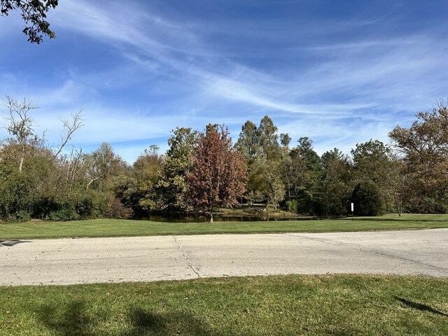 56 Graymoor Ln, Olympia Fields, IL 60461 - view of asphalt street
