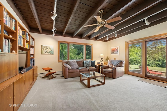 130 Old Dundee Rd, Barrington Hills, IL 60010 - living room featuring track lighting, a wooden ceiling with exposed beams, carpet flooring, and plenty of natural light