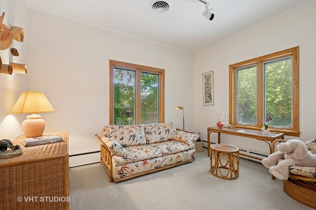 130 Old Dundee Rd, Barrington Hills, IL 60010 - living area with a baseboard radiator, carpet floors, and crown molding