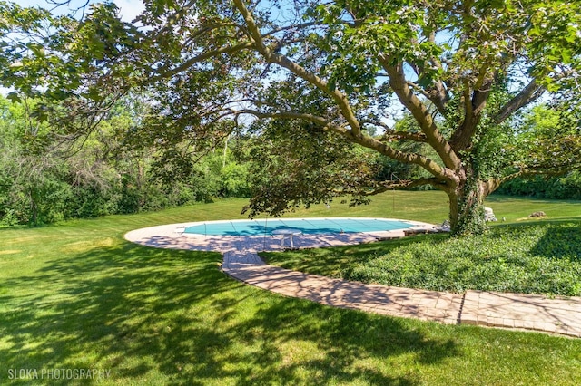 130 Old Dundee Rd, Barrington Hills, IL 60010 - view of swimming pool featuring a yard and a covered pool