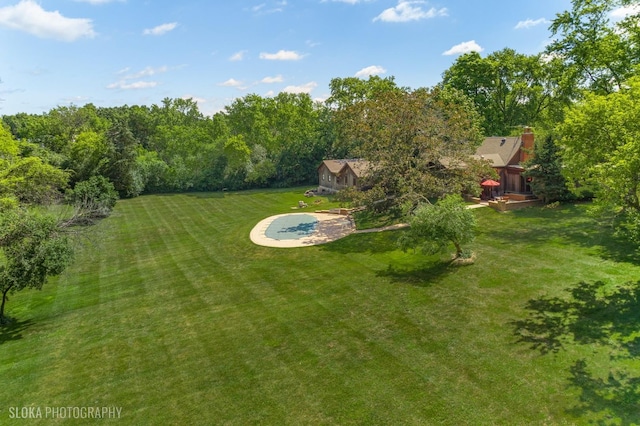 130 Old Dundee Rd, Barrington Hills, IL 60010 - view of grassy yard featuring a forest view