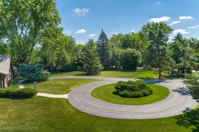 130 Old Dundee Rd, Barrington Hills, IL 60010 - view of community featuring a lawn and curved driveway