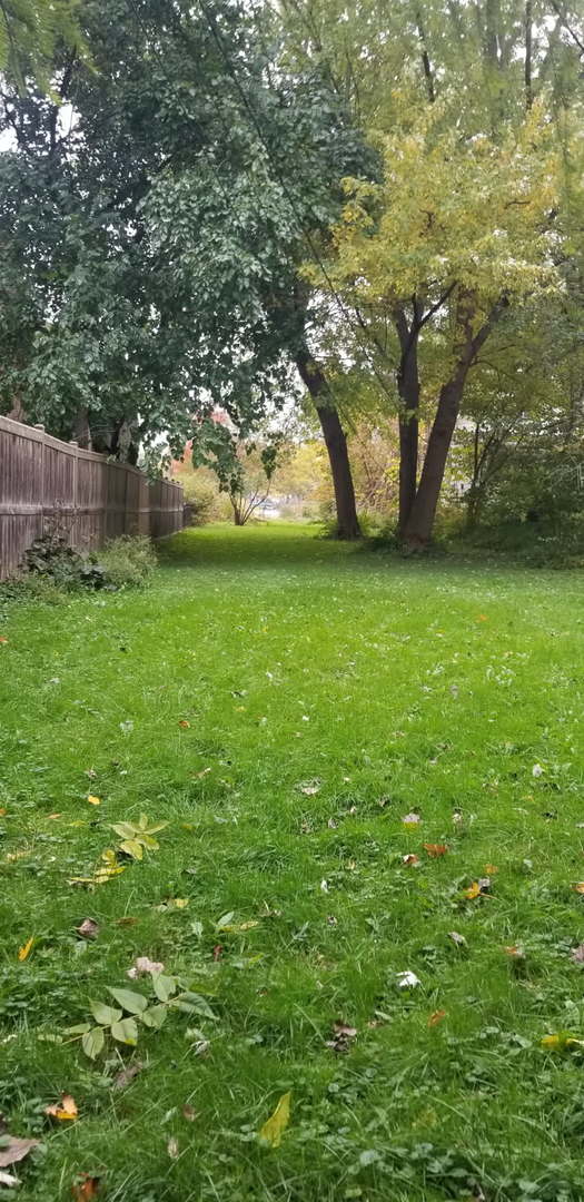 26931 W Marion Ct, Ingleside, IL 60041 - view of yard