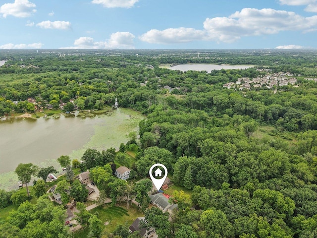 26931 W Marion Ct, Ingleside, IL 60041 - aerial view of a large body of water and a heavily wooded area
