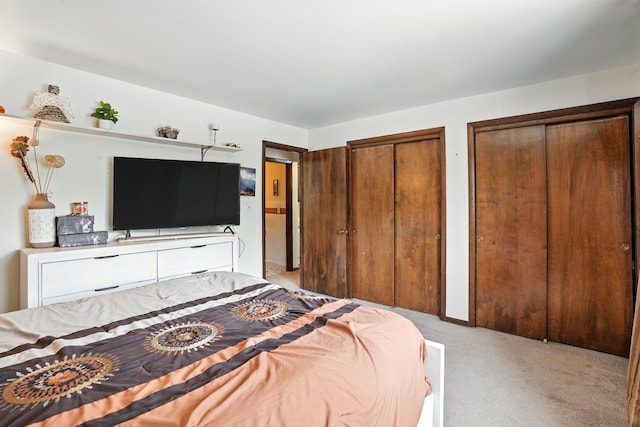 18205 Hart Dr Unit 2B, Homewood, IL 60430 - bedroom with two closets and light carpet