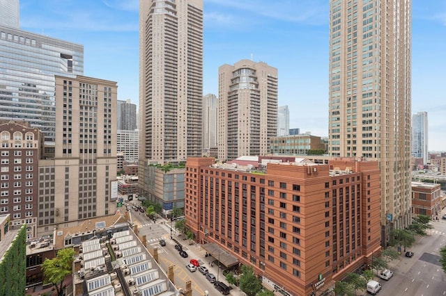 10 E Ontario St Unit 1304, Chicago, IL 60611 - skyline view