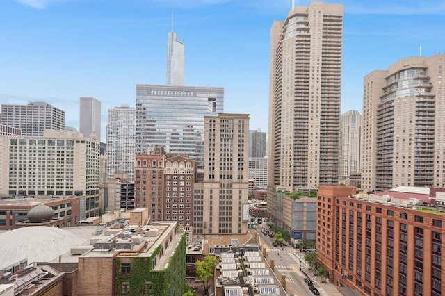 10 E Ontario St Unit 1304, Chicago, IL 60611 - skyline view