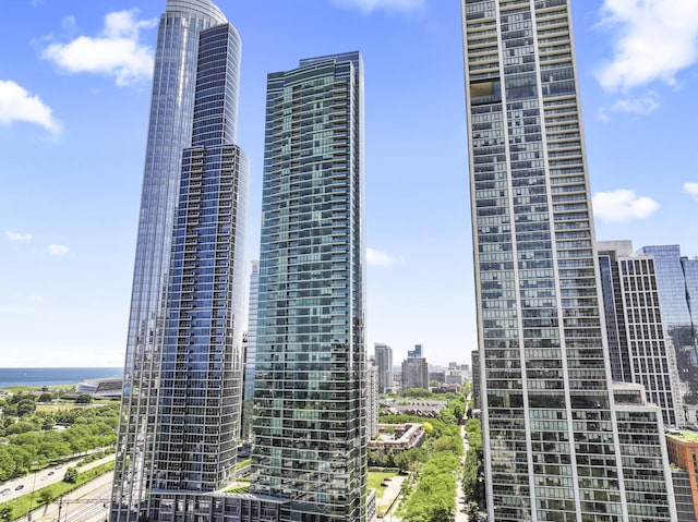 1201 S Prairie Ave Unit 4702, Chicago, IL 60605 - photo 1