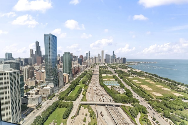 1201 S Prairie Ave Unit 4702, Chicago, IL 60605 - photo 22