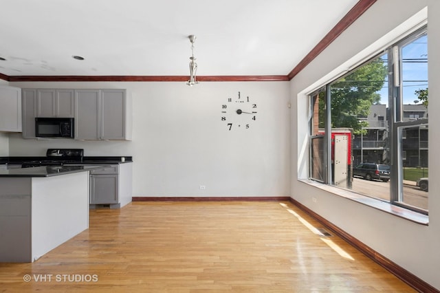 212 E 44th St Unit 2, Chicago, IL 60653 - kitchen with black microwave, range, gray cabinetry, light wood-type flooring, and dark countertops