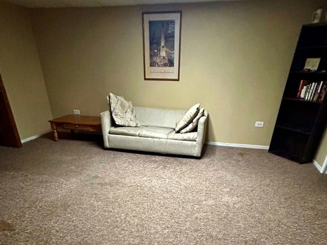 14220 Brighton Ct, Orland Park, IL 60462 - photo 23