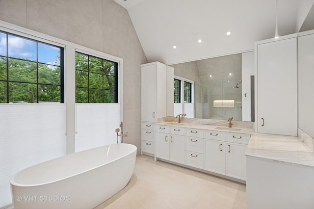 759 Strawberry Hill Dr, Glencoe, IL 60022 - full bath featuring double vanity, a shower stall, a freestanding bath, vaulted ceiling, and recessed lighting