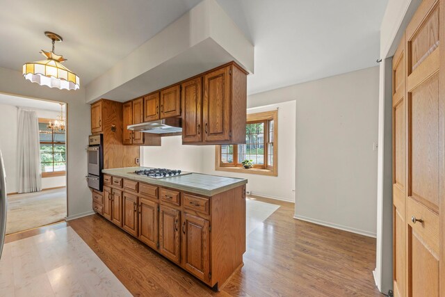 7011 Sierra Ct, Darien, IL 60561 - photo 10