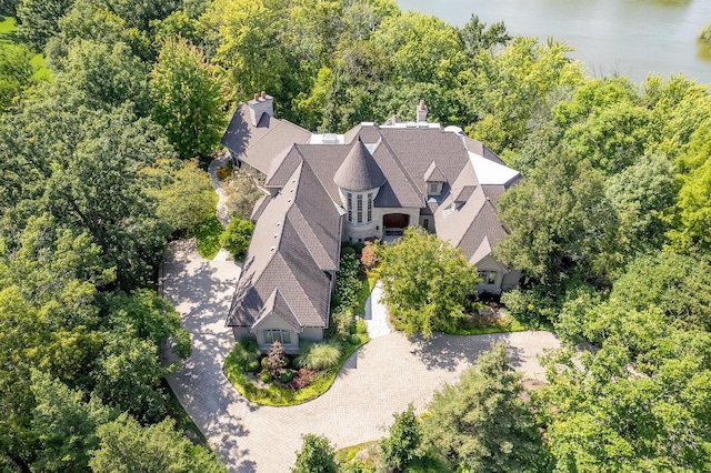 8698 S Madison St, Burr Ridge, IL 60527 - view of subject property featuring a forest and a nearby body of water