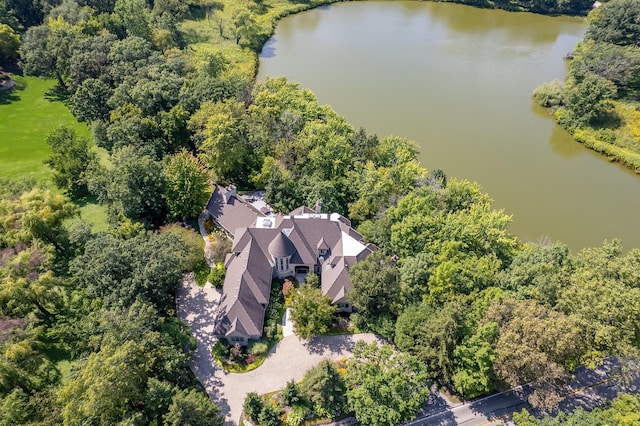 8698 S Madison St, Burr Ridge, IL 60527 - view from above of property featuring a nearby body of water