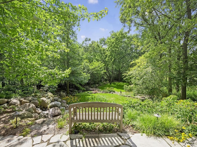 8698 S Madison St, Burr Ridge, IL 60527 - view of patio