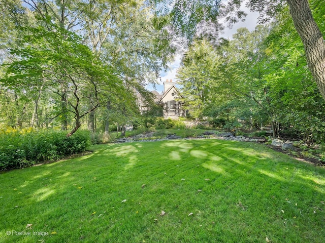 8698 S Madison St, Burr Ridge, IL 60527 - view of grassy yard