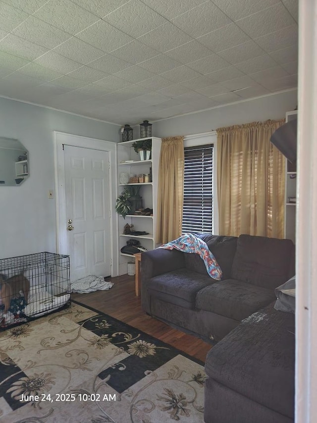 6 O Neil Ct, Champaign, IL 61820 - living room featuring wood finished floors