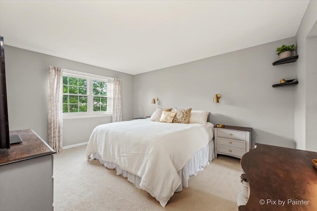 521 Nebraska Cir, Carol Stream, IL 60188 - bedroom featuring light colored carpet and baseboards