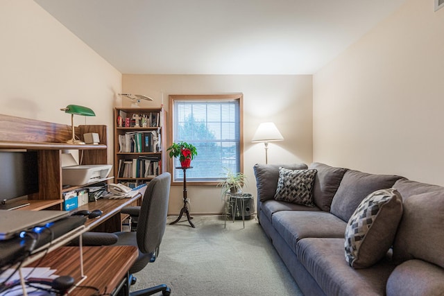 1937 Bayview Ln Unit 0, Aurora, IL 60506 - office space with carpet and baseboards