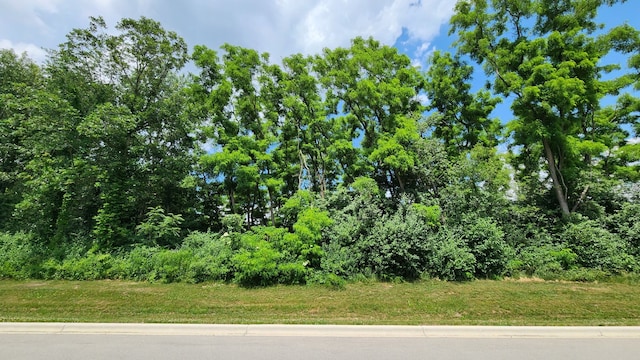 0 Crete Rd, Crete, IL 60417 - photo 6