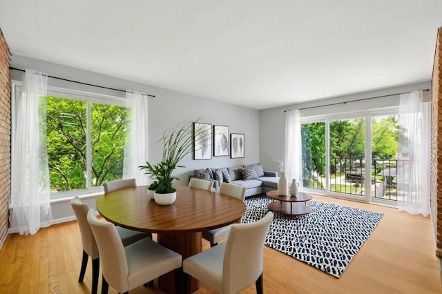 9516 S Kildare Ave Unit 3S, Oak Lawn, IL 60453 - dining room featuring light wood-type flooring