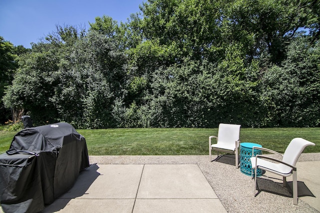 12532 Suffield Dr, Palos Park, IL 60464 - view of patio featuring area for grilling