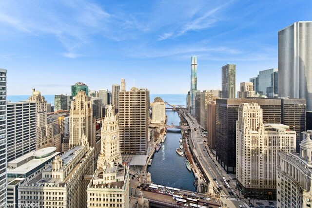 401 N Wabash St Unit 33A, Chicago, IL 60611 - view of city skyline with a large body of water and a notable bridge