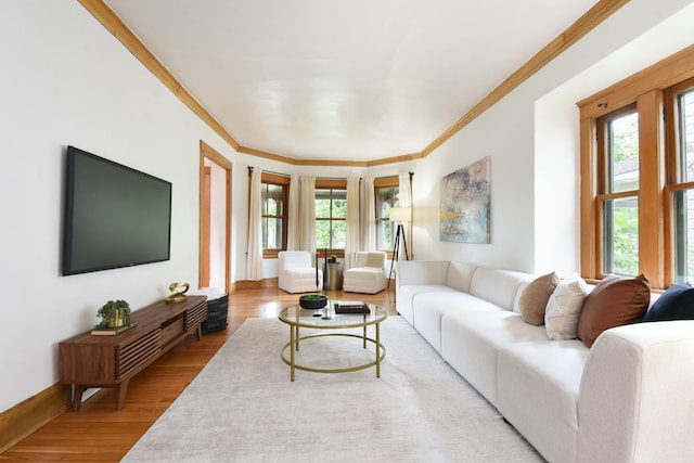 125 S Ridgeland Ave, Oak Park, IL 60302 - living area featuring wood finished floors and crown molding