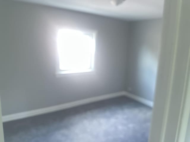 3843 W 56th St, Chicago, IL 60629 - photo 11