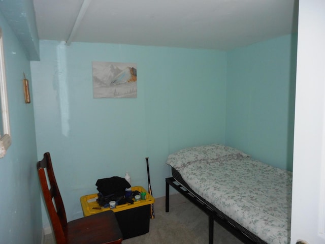 2820 W 36th St, Chicago, IL 60632 - view of carpeted bedroom