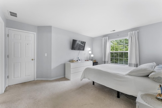 1028 Wynnfield Ct Unit C, Elgin, IL 60120 - bedroom with light carpet and baseboards