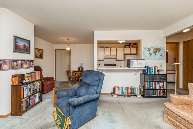 551 Leah Ln Unit 2B, Woodstock, IL 60098 - photo 3