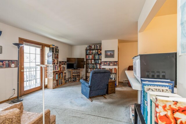 551 Leah Ln Unit 2B, Woodstock, IL 60098 - photo 5