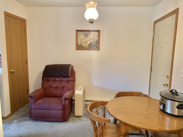 551 Leah Ln Unit 2B, Woodstock, IL 60098 - photo 8