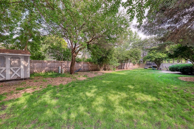 6S503 Bridlespur Dr, Naperville, IL 60540 - fenced backyard featuring a shed