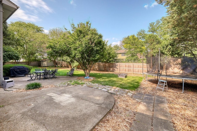 6S503 Bridlespur Dr, Naperville, IL 60540 - fenced backyard featuring a trampoline, a patio area, a storage unit, outdoor dining area, and a grill