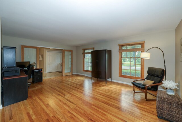 6S503 Bridlespur Dr, Naperville, IL 60540 - living room with light wood-style floors and a desk