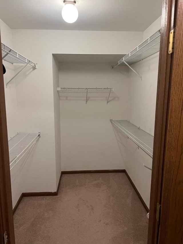 216 Charleston Ct Unit 8, Schaumburg, IL 60193 - spacious closet with carpet floors