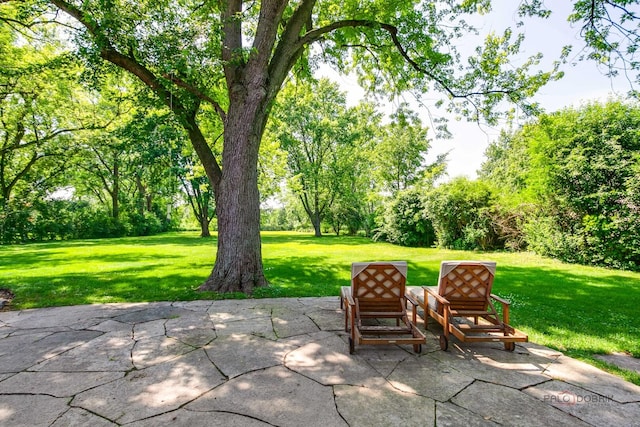 560 Golf Ln, Lake Forest, IL 60045 - view of patio / terrace featuring view of wooded area