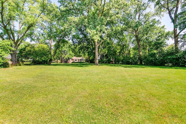 560 Golf Ln, Lake Forest, IL 60045 - view of green lawn
